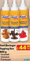 KENT BORİNGER TOPPİNG SOS 300 G